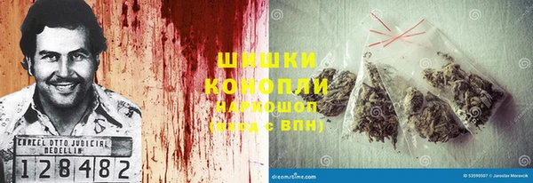 шишки Алзамай